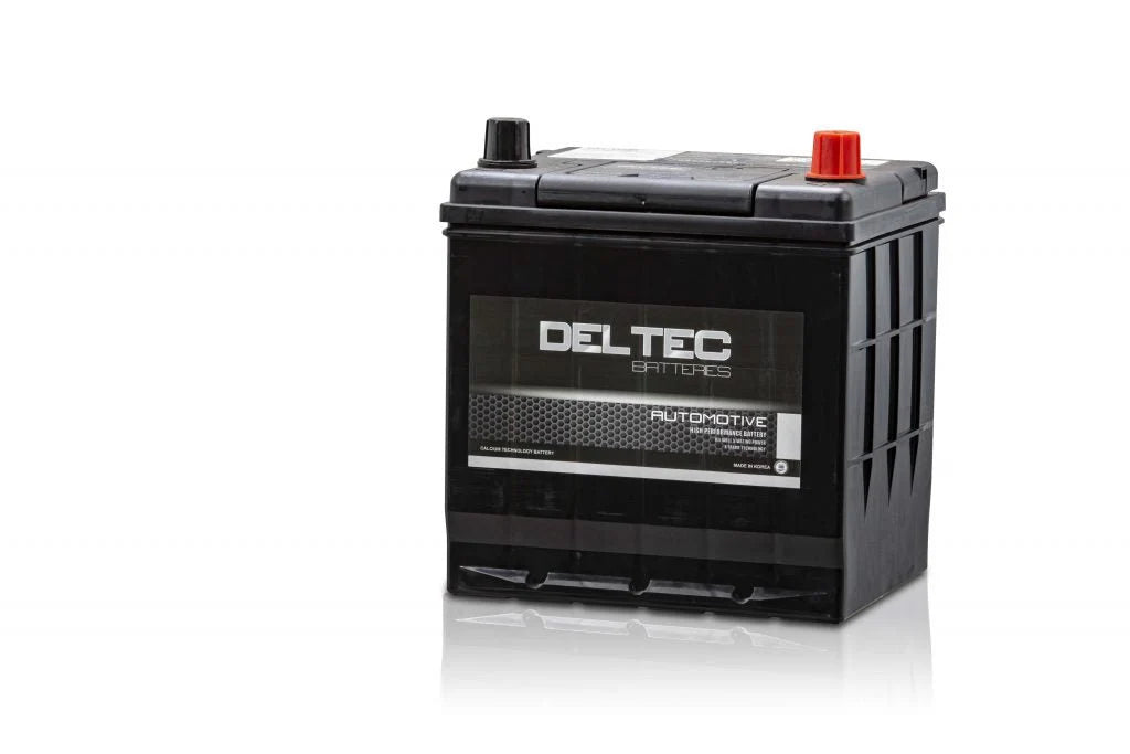 Deltec Automotive Battery - DEL-D20L